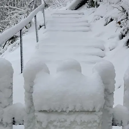 Manland Vendeghaz 아파트