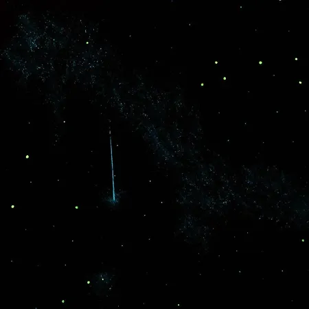 아파트 Manland Vendeghaz