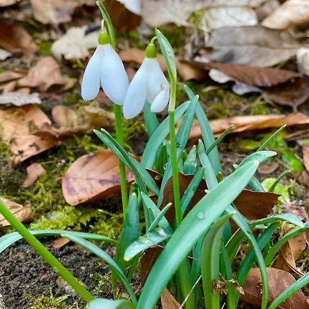 아파트 Manland Vendeghaz Lillafüred