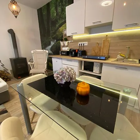 Manland Vendeghaz 아파트